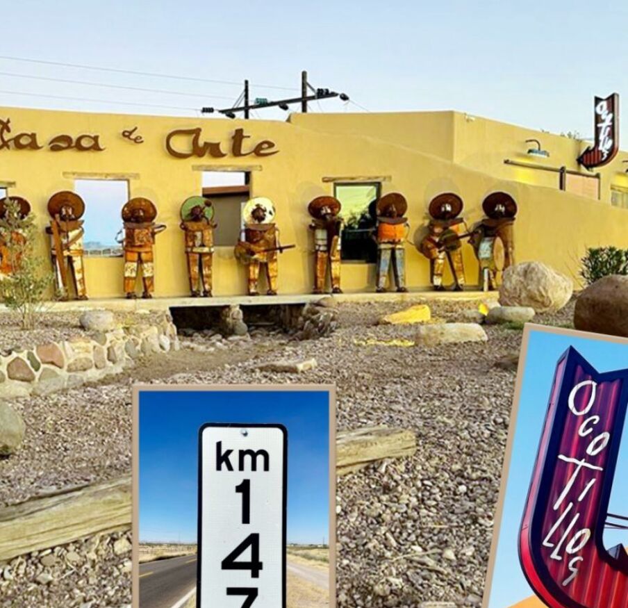 Picture of Ocotillos