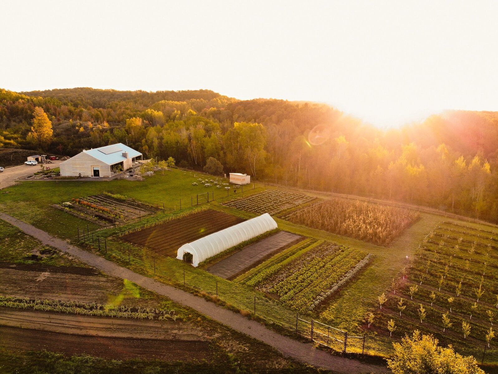 Picture of Farm Club