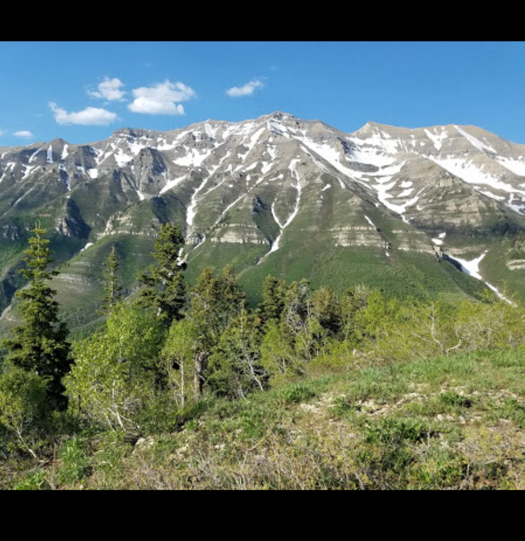 Picture of Hike 'Big Baldy' Summit