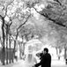Romantic Chicago Wedding
