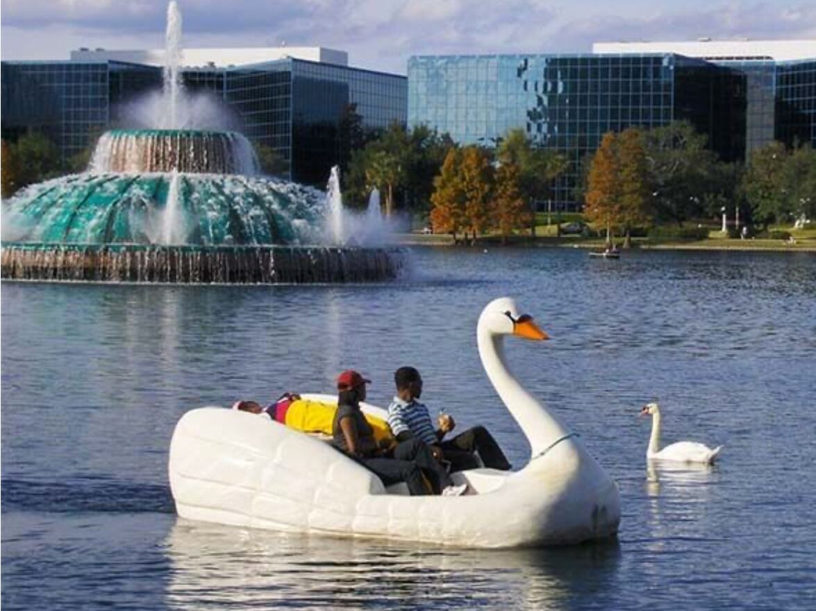 Picture of Lake Eola Park