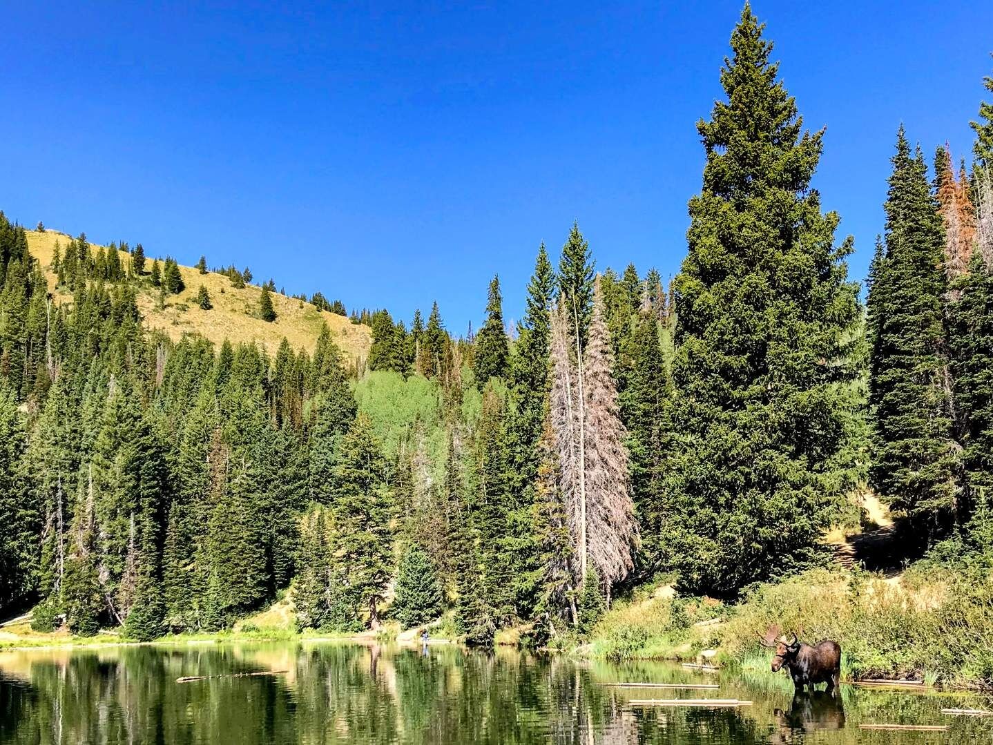 Picture of The Best Park City Day Hikes