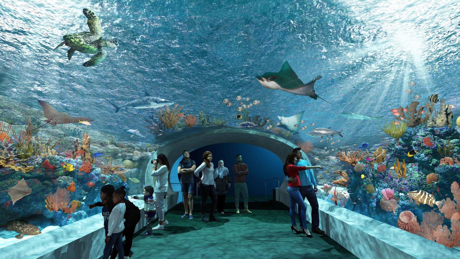 Picture of Shedd Aquarium