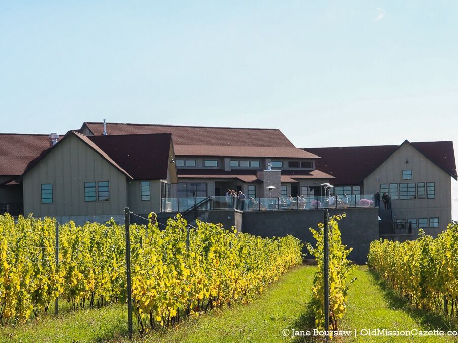 Picture of Bonobo Winery