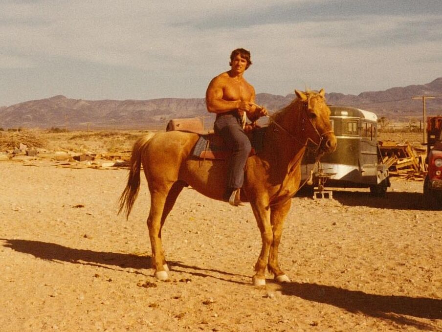 Picture of Horseback riding on the beach