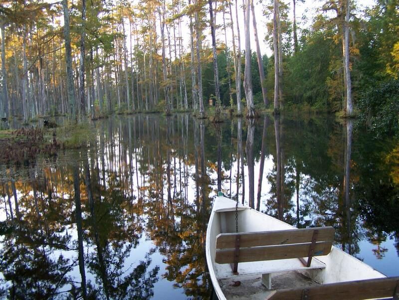 Picture of Cypress Gardens