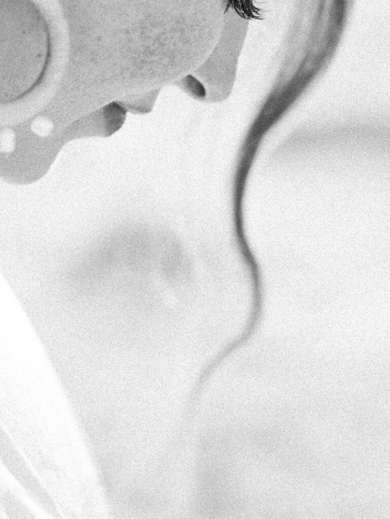 wedding photography styles fine art