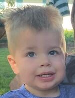 Liam Shafer