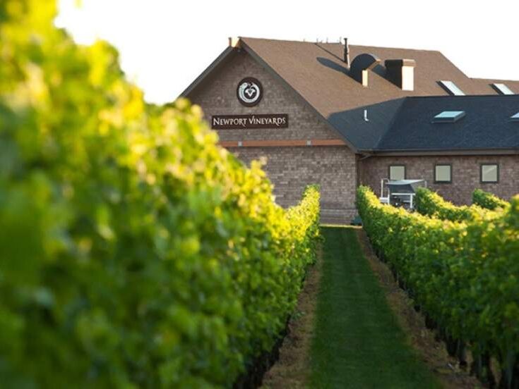 Picture of Newport Vineyards & Restaurant