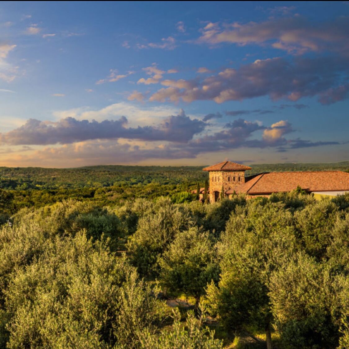 Picture of Texas Hill Country Olive Co.
