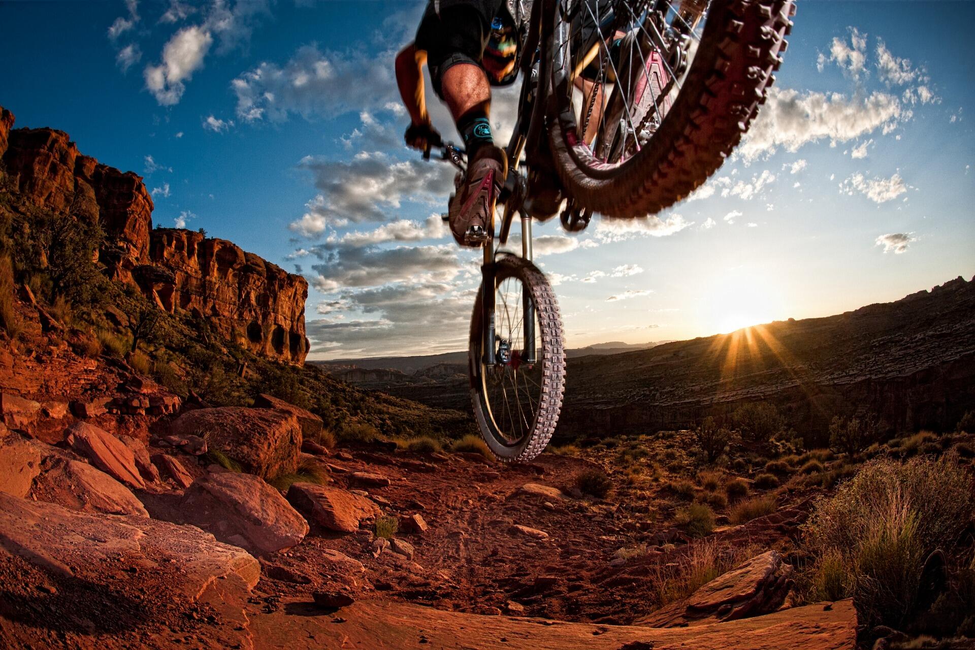 Picture of Mountain Biking