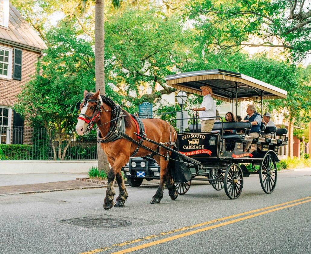Picture of Old South Carriage Company
