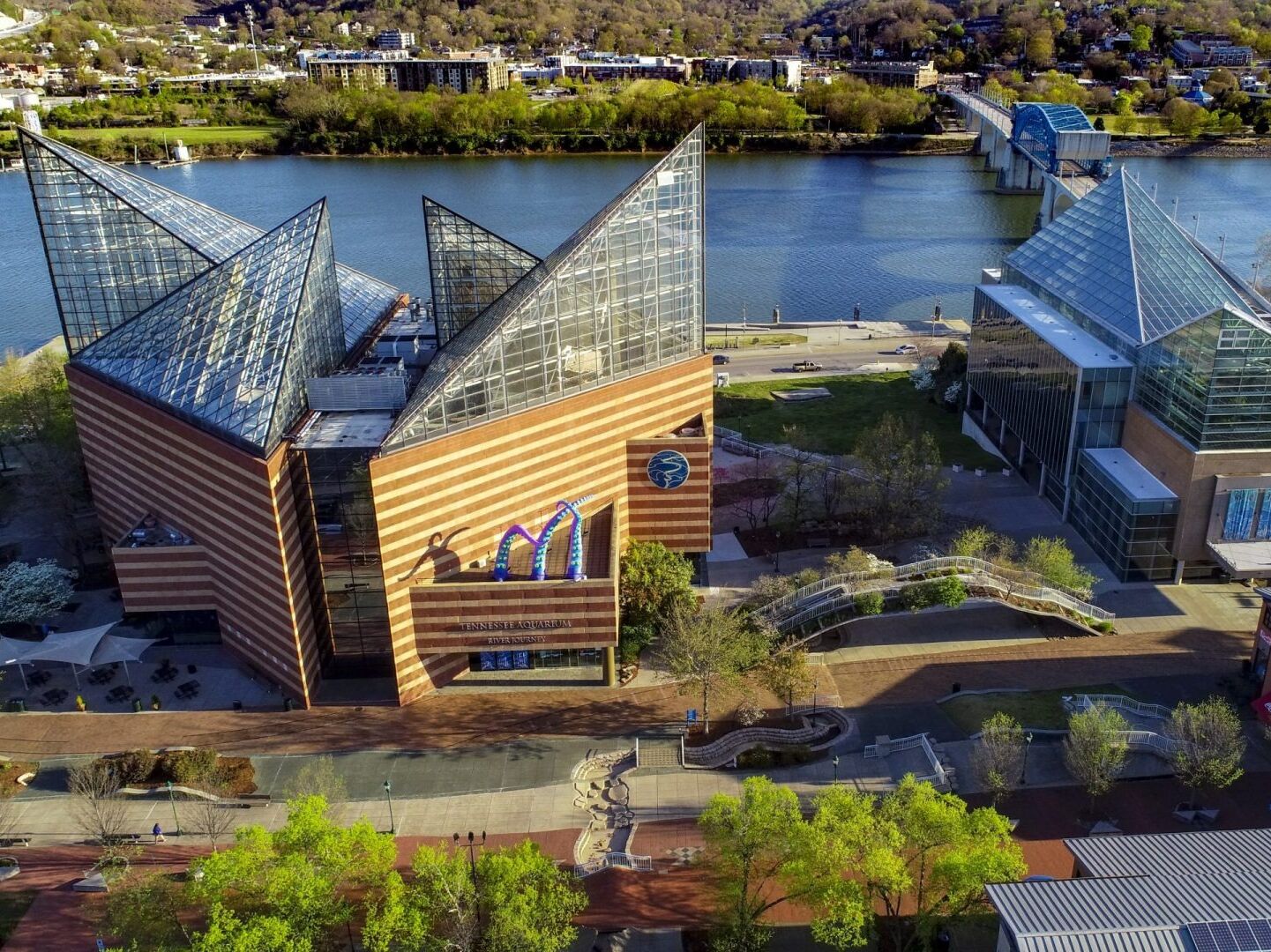 Picture of Tennessee Aquarium