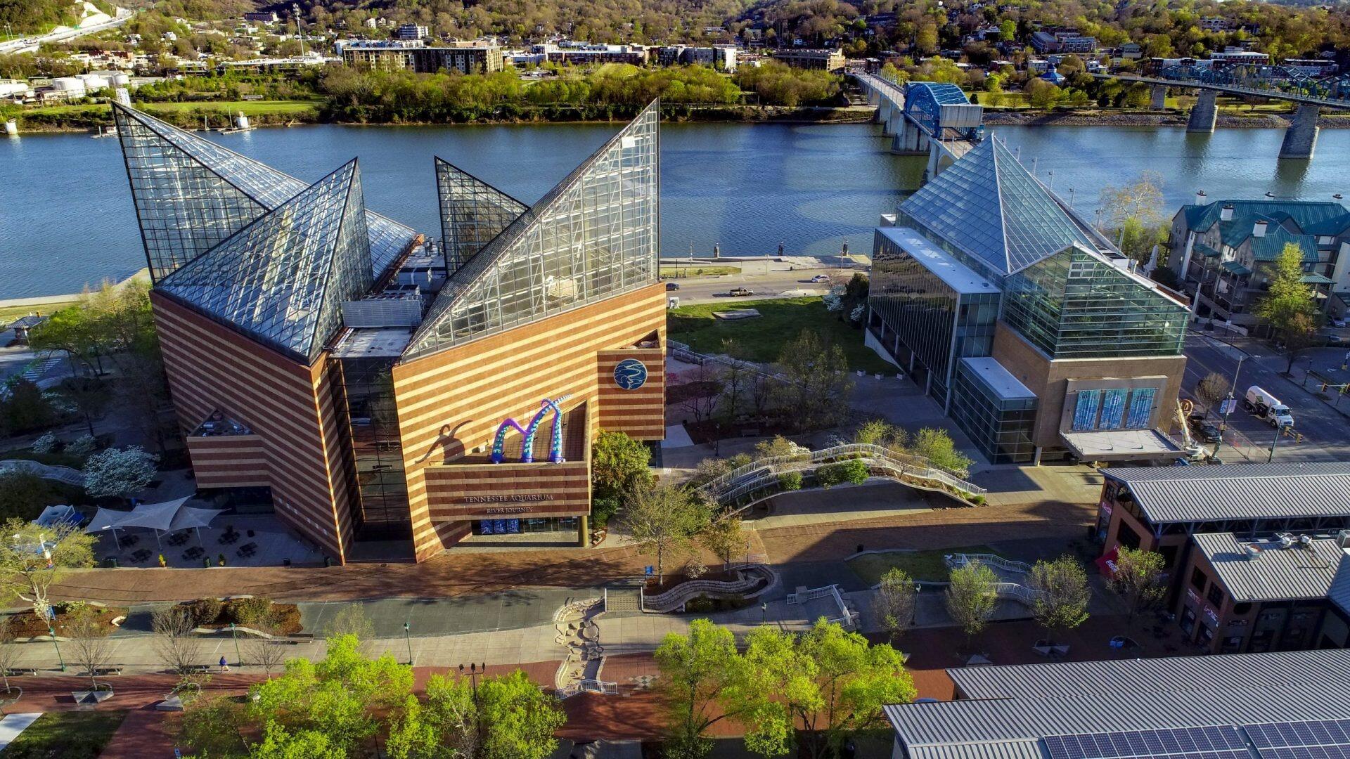 Picture of Tennessee Aquarium