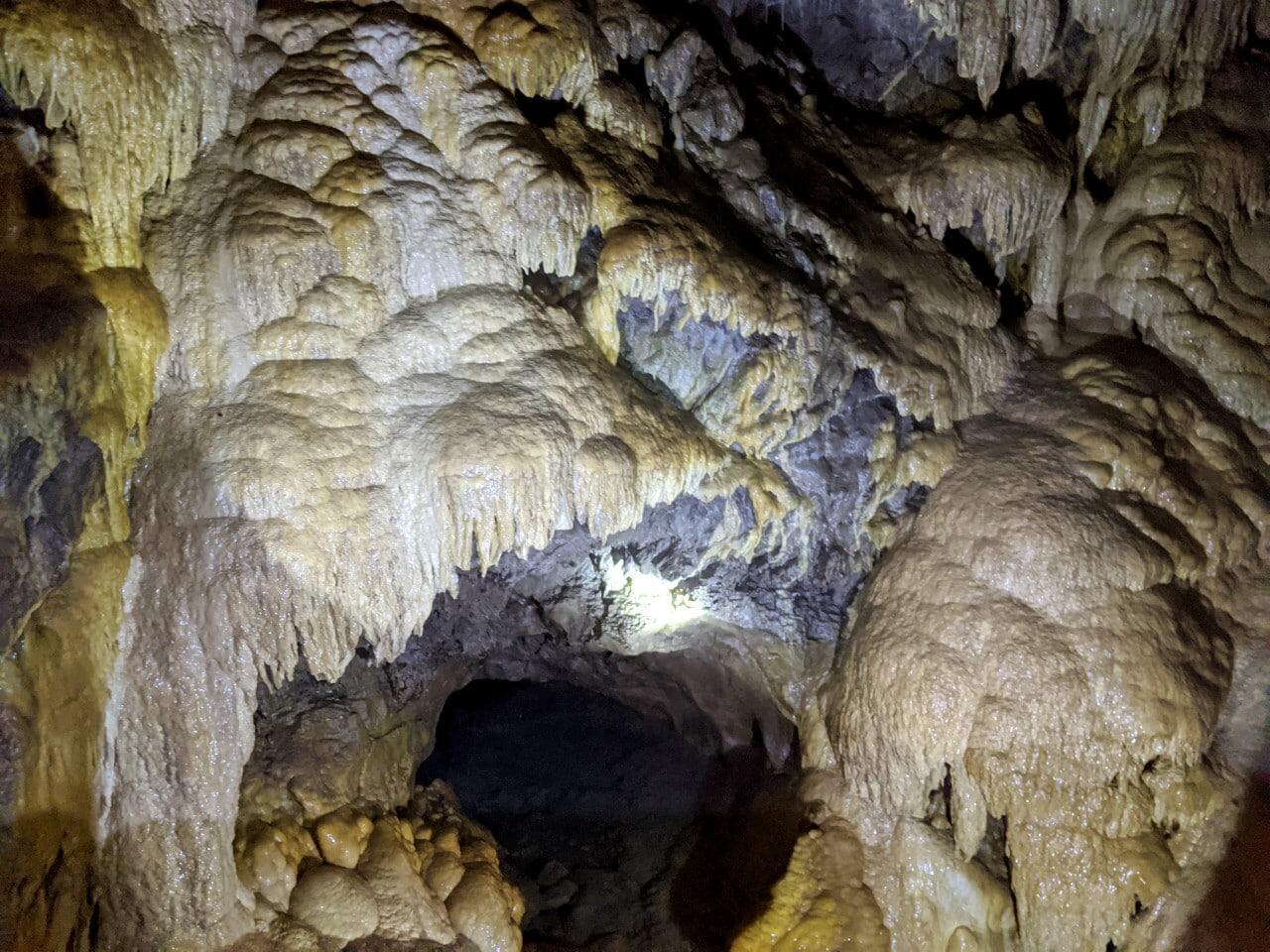 Picture of Canmore Cave Tours