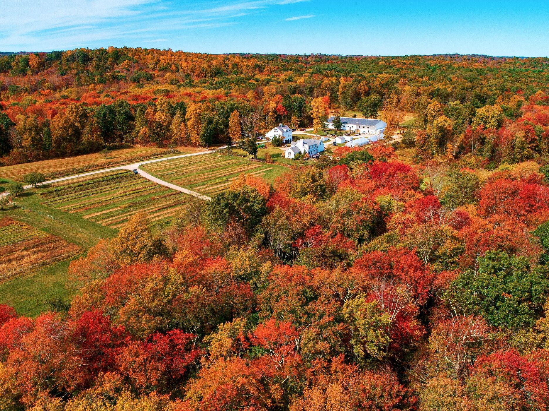 Picture of Tree House Orchard & Farm Fermentory
