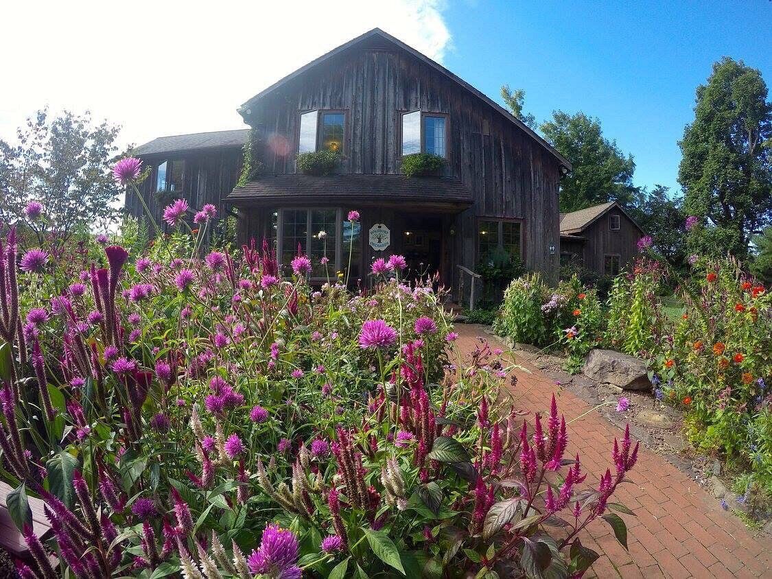 Picture of Go Blueberry or Flower Picking at Solebury Orchards