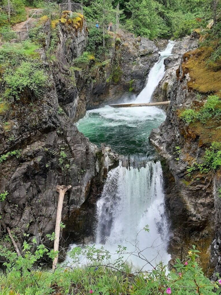 Picture of Little Qualicum Falls Provincial Park