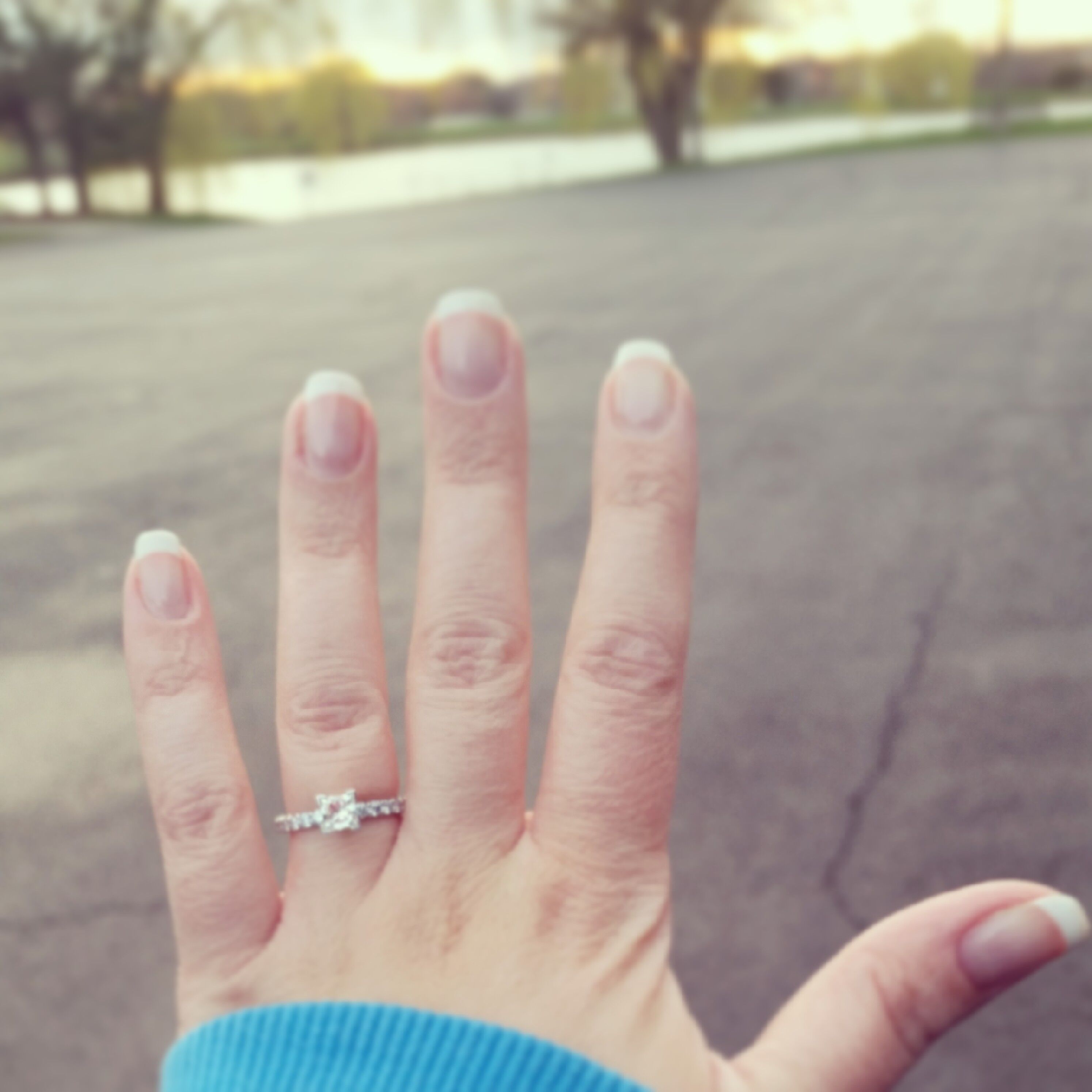 Picture of Our Proposal