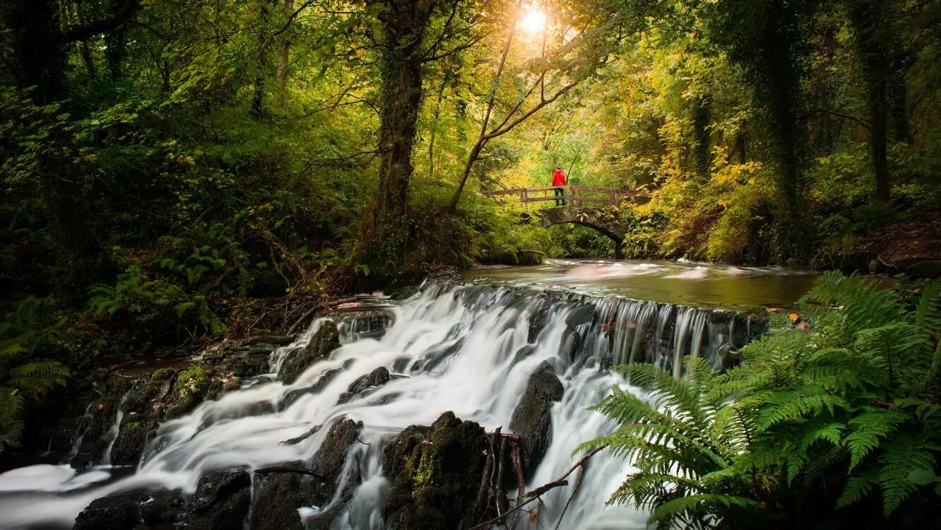 Picture of Dún a Rí Forest Park