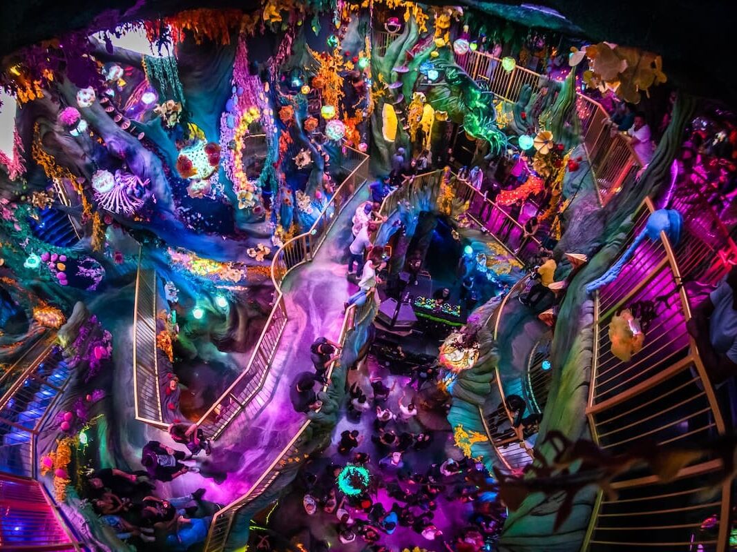 Picture of Get Trippy at Meow Wolf Denver