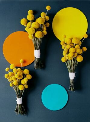Craspedia/ Billie Ball Yellow Wedding Bouquet