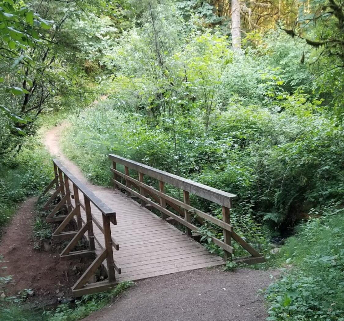 Picture of Harvey Creek Trail