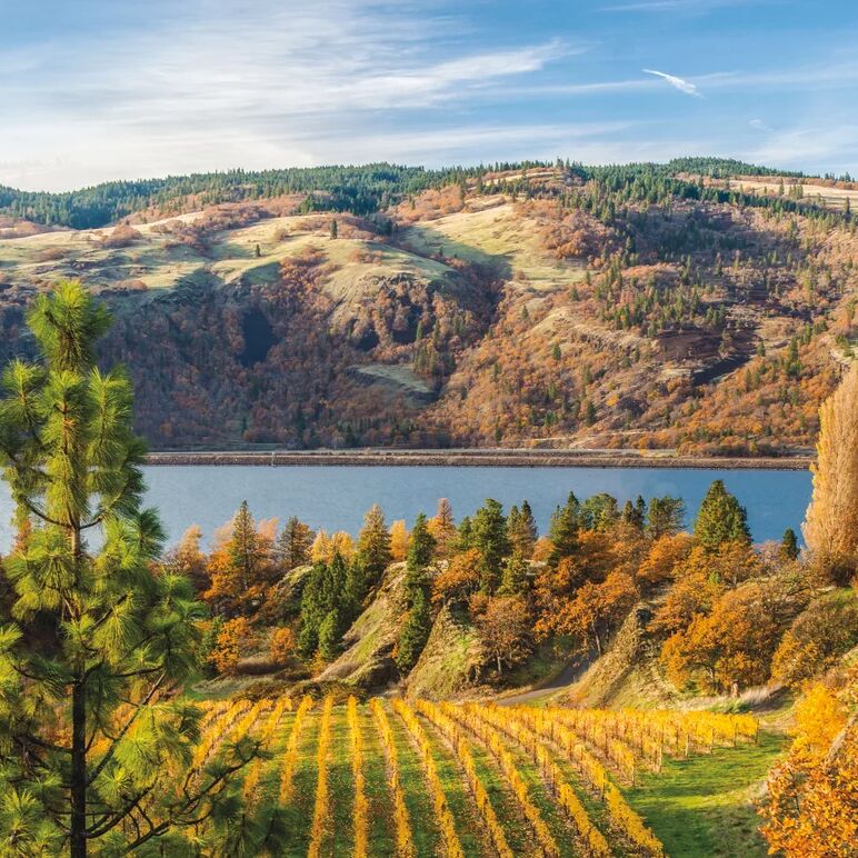 Picture of Winery and Brewery