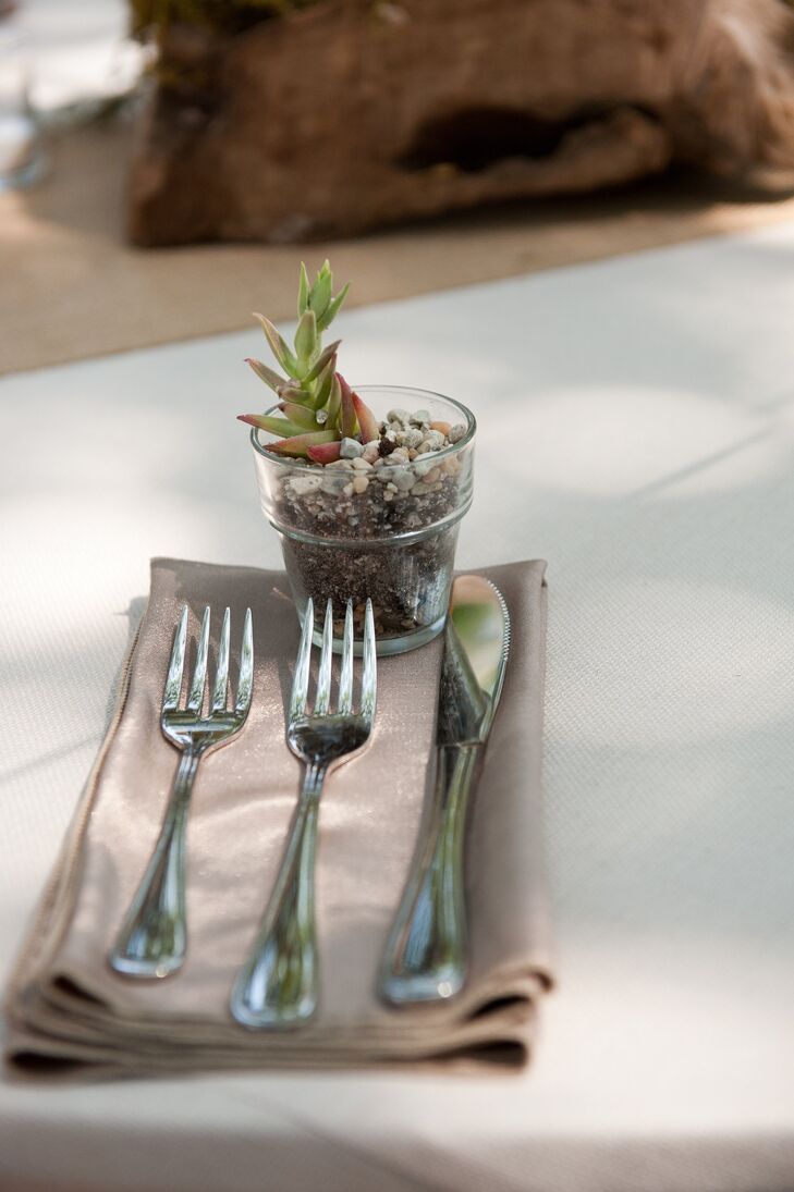 Potted Plants Table Decor