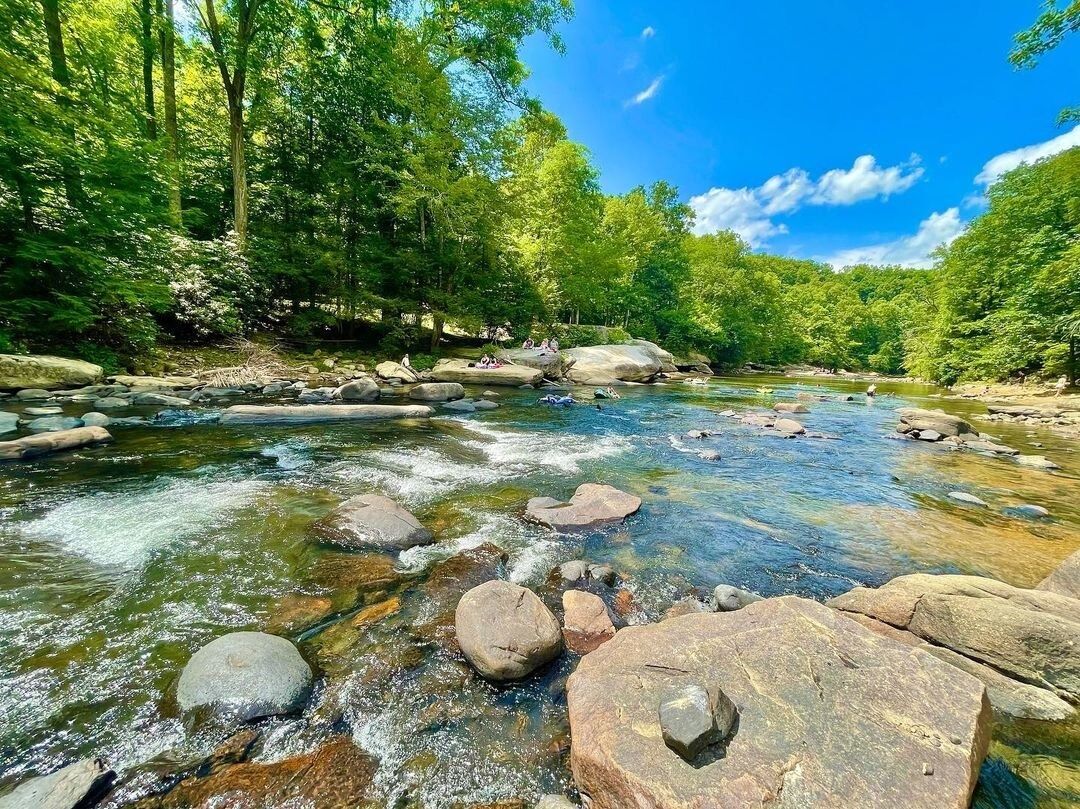 Picture of Audra State Park