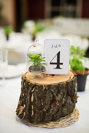 Succulent Terrarium and Wood Pedestal Centerpieces