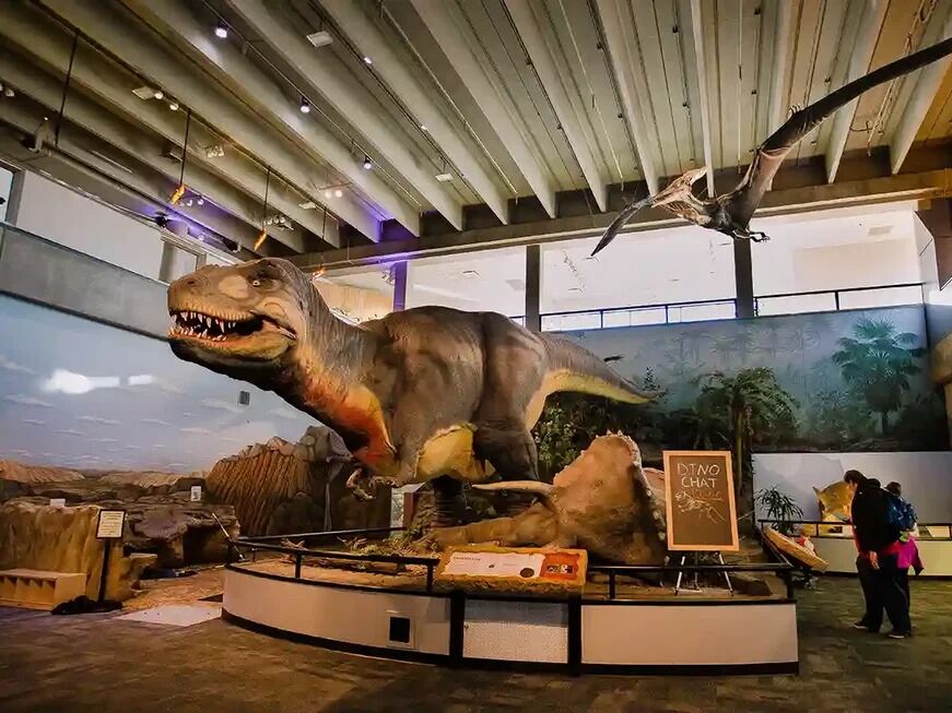 Picture of Saint Louis Science Center