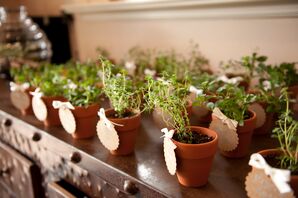 Potted Herb Wedding Favors