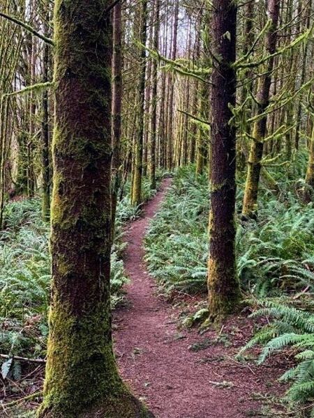 Picture of North Kitsap Heritage Park for Hiking