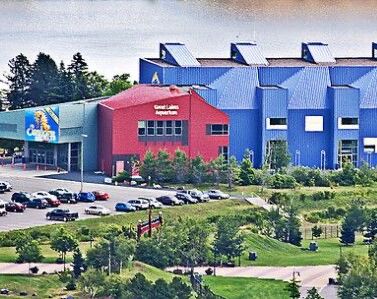 Picture of Great Lakes Aquarium