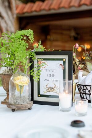 Crustacean-Inspired Table Number With Crab Motif