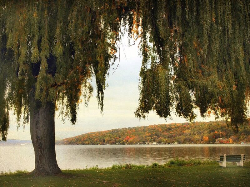 Picture of Stewart Park