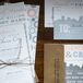 MLC Designs and Madeline were AMAZING, says Danielle. Madeline took my scattered thoughts and created the perfect suite--save-the-dates, invites, table names and numbers.