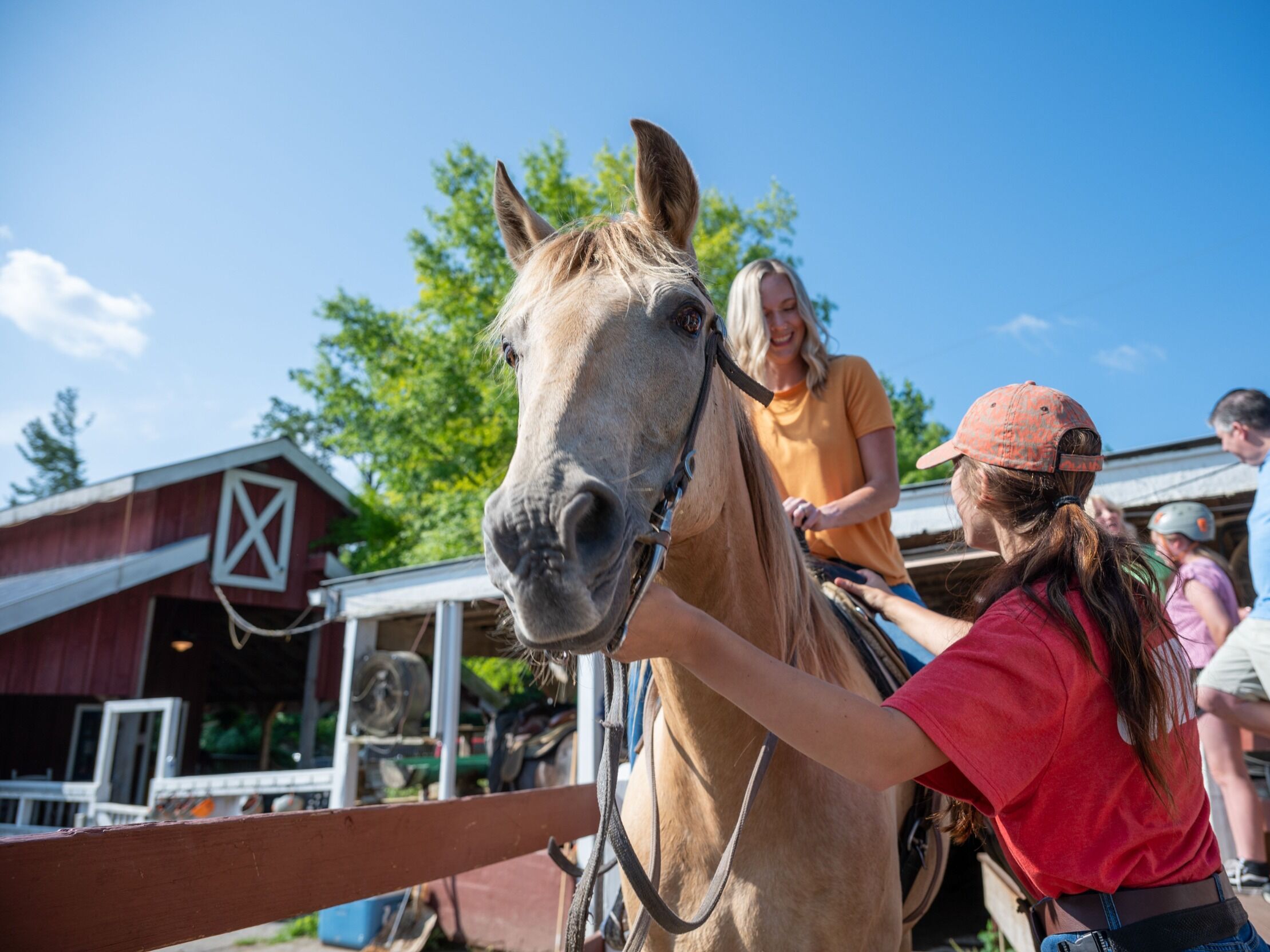 Picture of Five Oaks Riding Stables