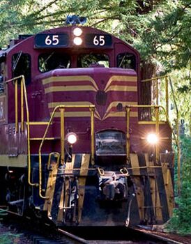 Picture of Skunk Train 