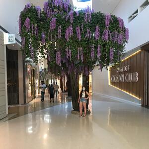 Gallery Photo 204