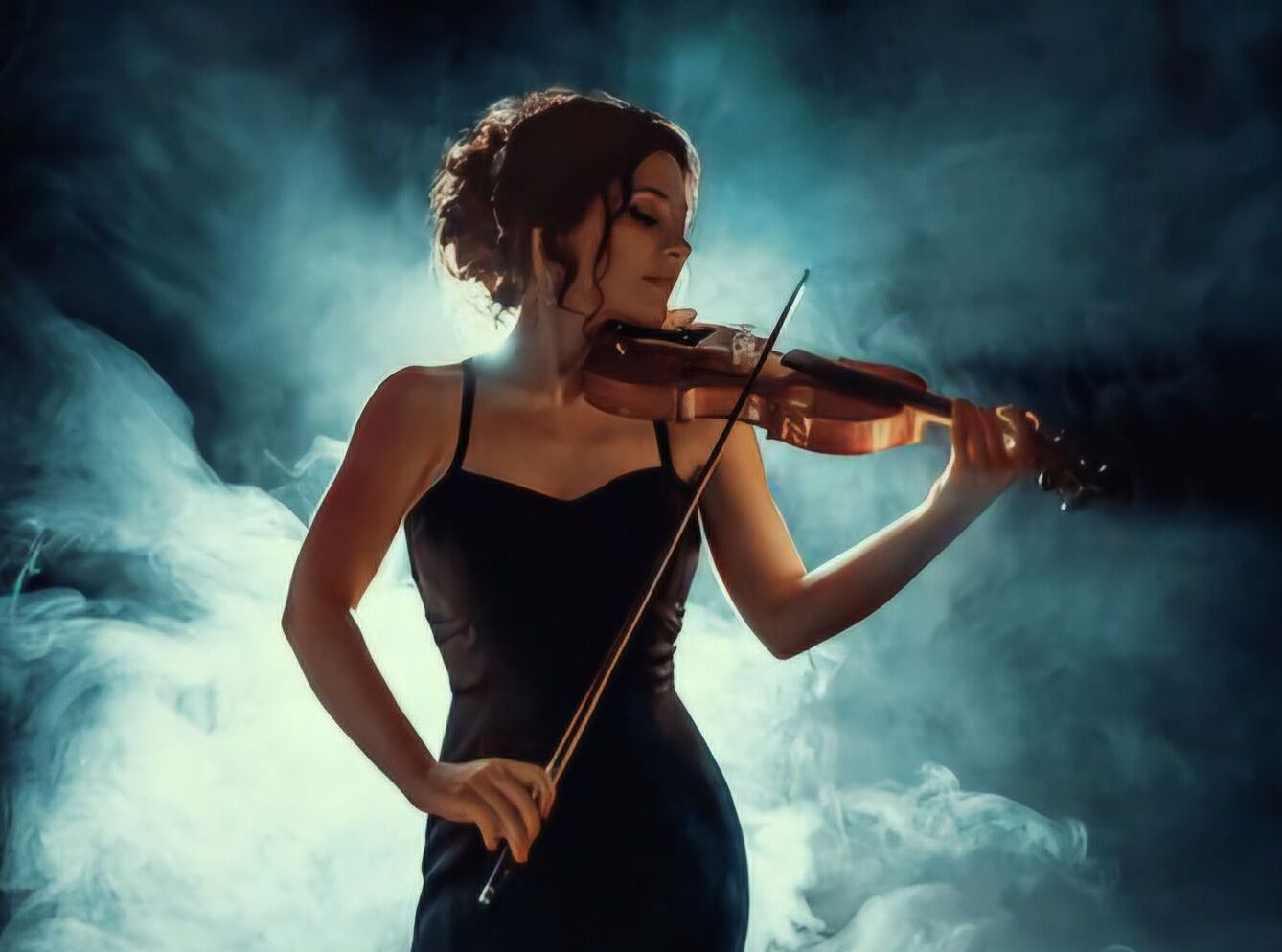 Picture of Live violin dinner performance 