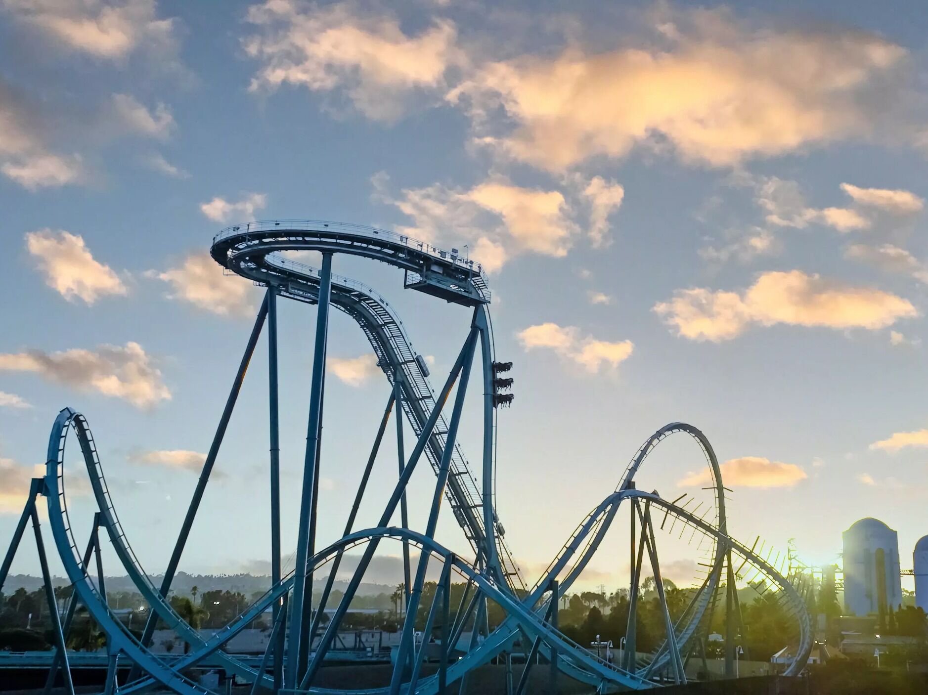 Picture of SeaWorld San Diego
