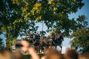 Horse and Carriage Processional at Leesburg, Virginia Wedding