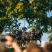 Horse and Carriage Processional at Leesburg, Virginia Wedding