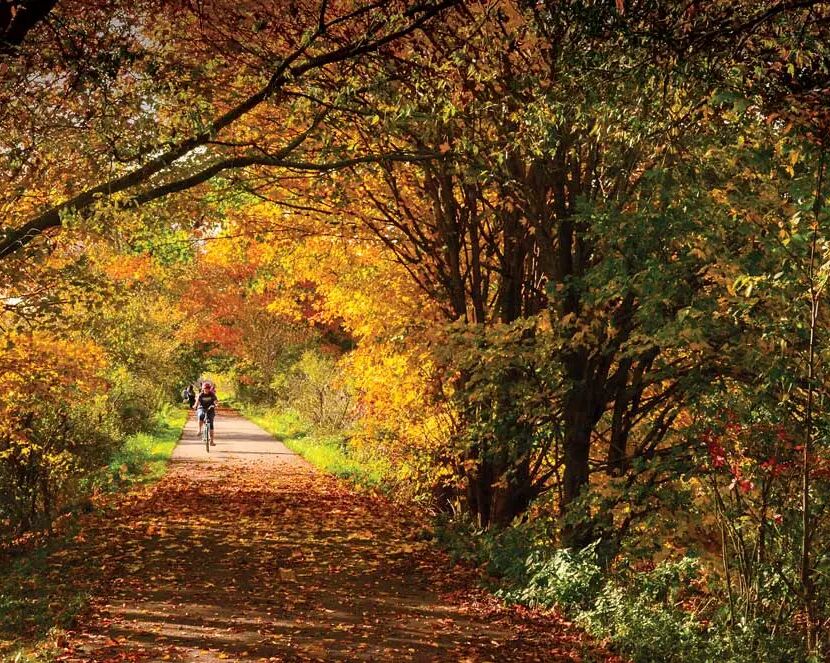 Picture of Mohican State Park