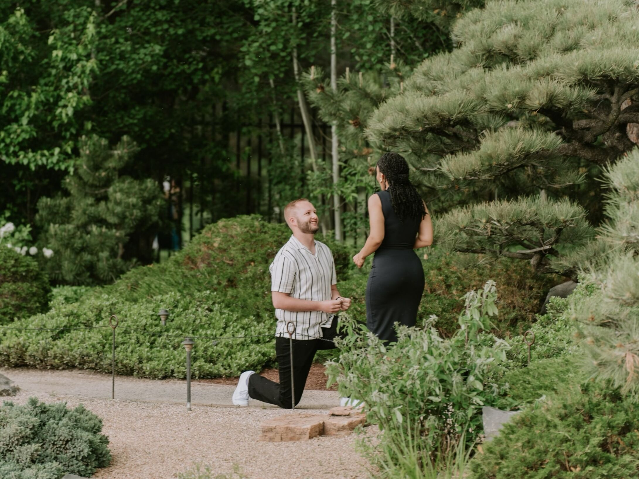 Picture of Proposal