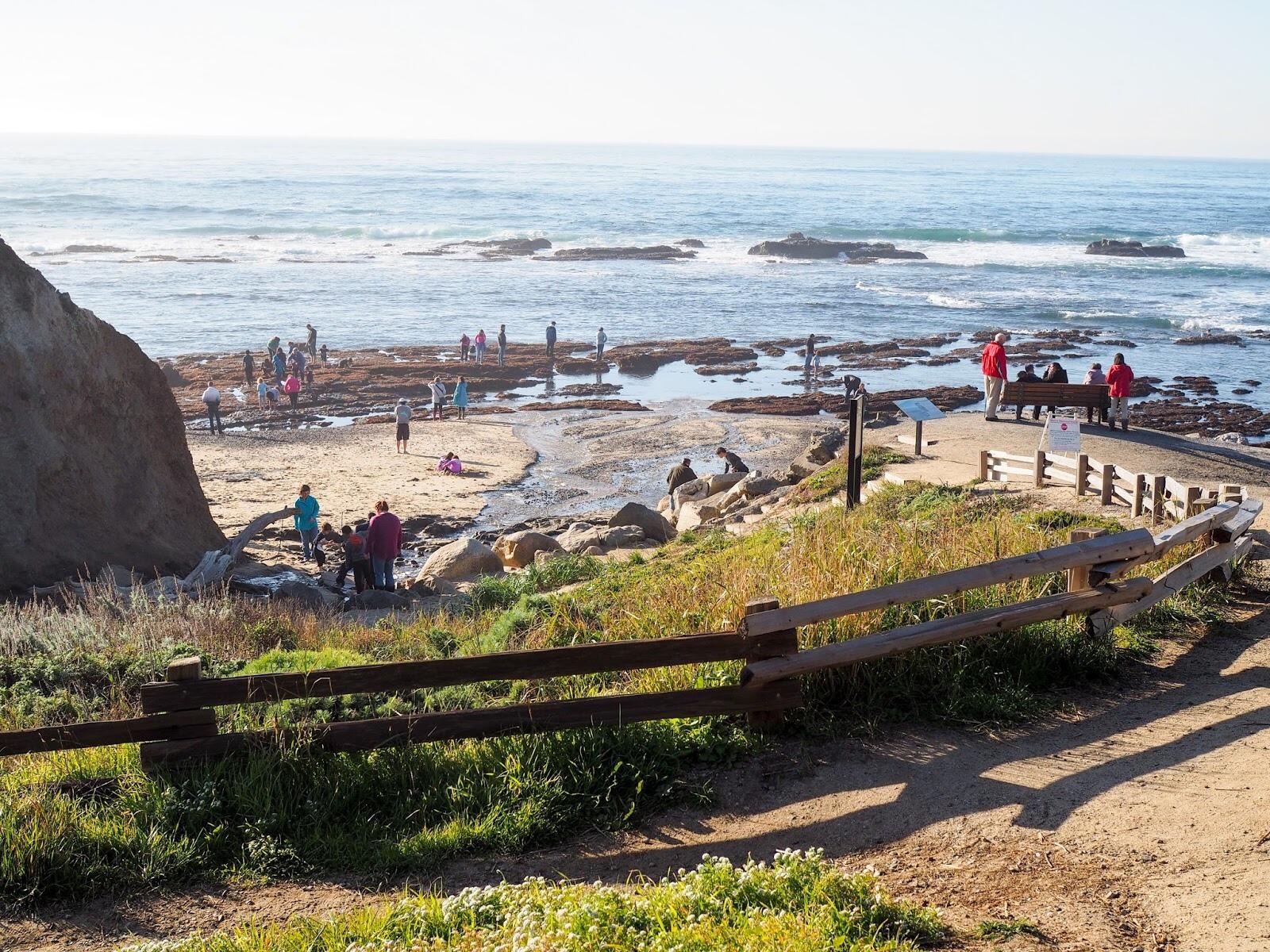 Picture of Fitzgerald Marine Reserve