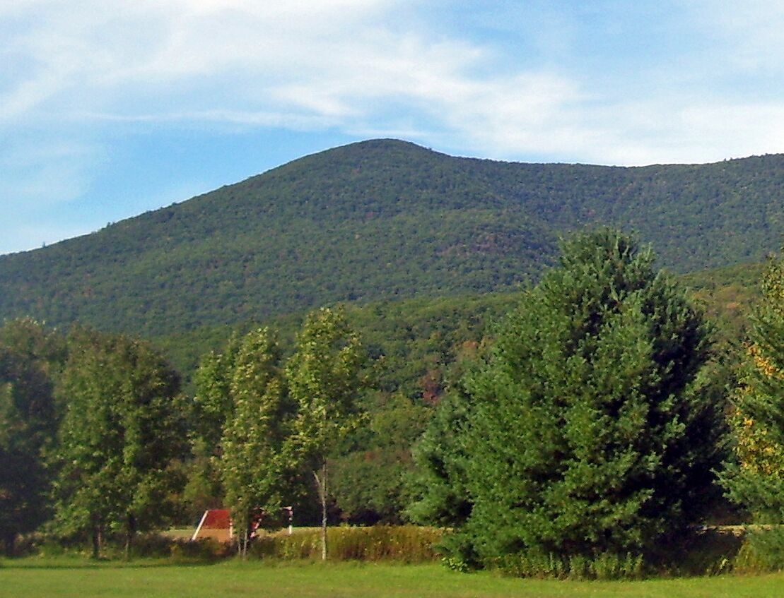 Picture of Mount Tremper