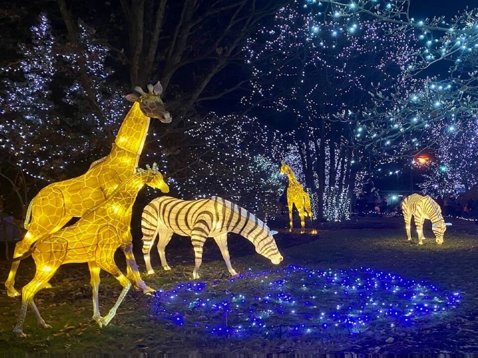 Picture of Cincinnati Zoo & Botanical Garden